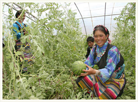 助推公益事業 與社會共進步